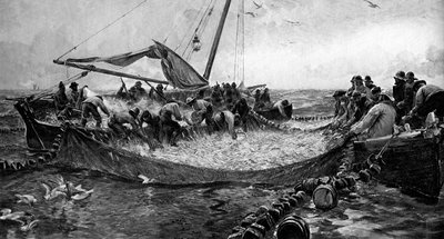 ピルチャード、1900 作： Unbekannt