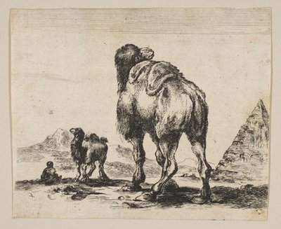 プレート18：1641年以降、後ろからピラミッドを右に見たラクダ、さまざまな動物Di ... 作： Unbekannt