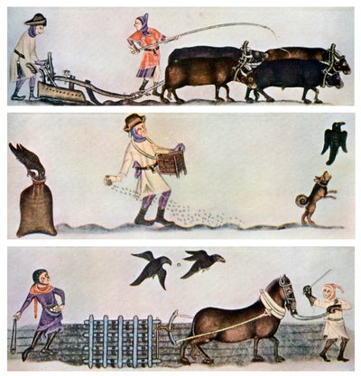 耕作、播種、刈り取り、c1300-1340、c1900-1920 作： Unbekannt