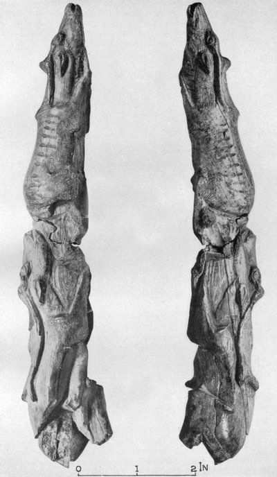 トナカイが刻まれたマンモスの牙の先端、モンタストルック、ブルニケル、フランス、1926年 作： Unbekannt