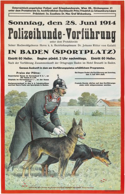 バーデンでの警察犬のデモンストレーション、1914年。 作： Unbekannt