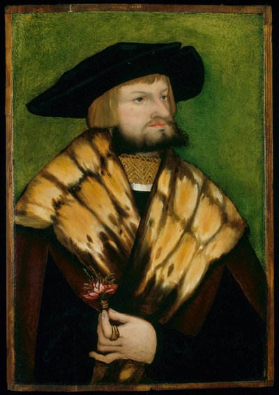 レオンハルト・フックスの肖像、1525年。 作： Unbekannt