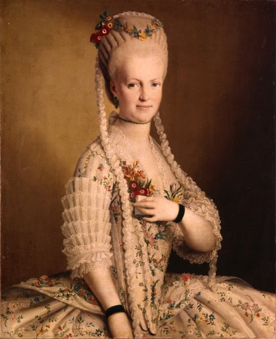 サラグレイの肖像17521793、サミュエルグレイ提督の妻、1775年 作： Unbekannt