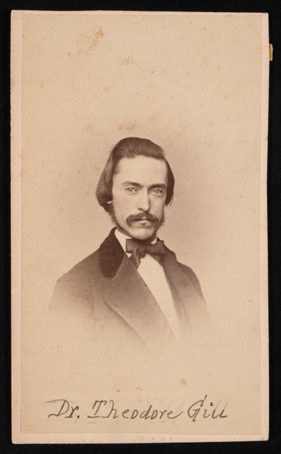 セオドア・ニコラス・ギルの肖像、1837～1914年、1860年代頃。 作： Unbekannt