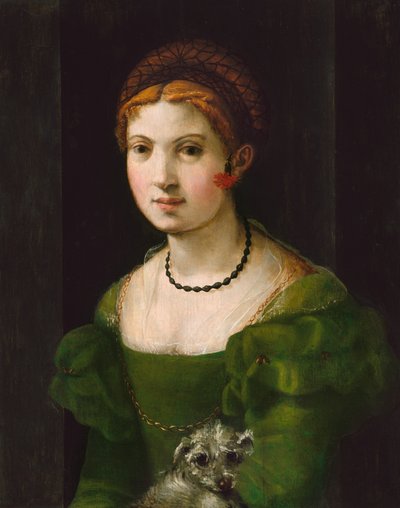 若い女性の肖像、15301540。 作： Unbekannt