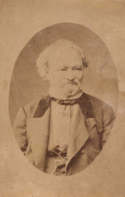 ピアニストで作曲家のフェレンツ・エルケルの肖像、1810～1893年頃。 1875年。 作： Unbekannt