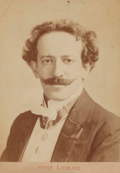 ピアニストで作曲家のゲオルク・リーブリングの肖像、1865～1946年頃。 1900年 作： Unbekannt