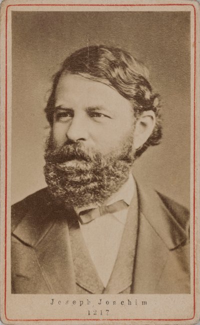 ヴァイオリニストで作曲家のJoseph Joachim 1831-1907のポートレート、1870年代。 作： Unbekannt