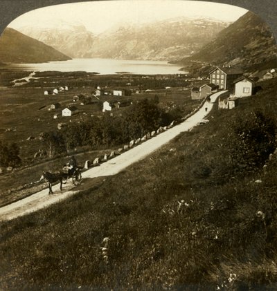 険しい山腹の村と険しい西ノルウェーのロルダル湖、c1905。 作： Unbekannt