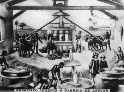 原始的な工夫、16世紀、1920年代 作： Unbekannt