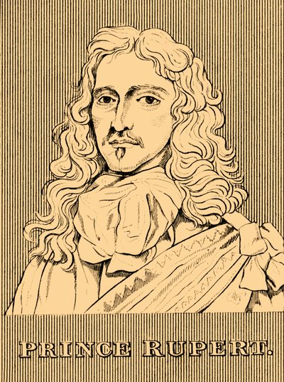ルパート王子、1619年-1682年、1830年。 作： Unbekannt