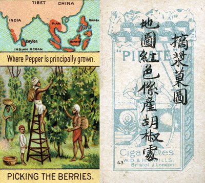 ウィルス社が中国市場向けに制作した "Product of the World "シリーズのシガレットカードのうち、胡椒が生産されている主なエリア 作： Unbekannt