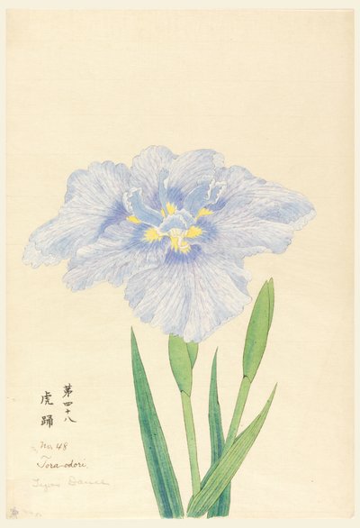 印刷物「虎の巻」第48号 作： Unbekannt