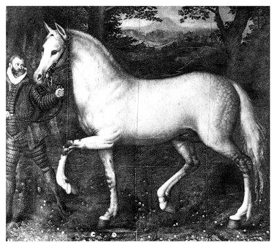 エリザベス女王は馬、1896年 作： Unbekannt