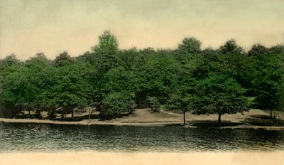 クイーンズミア、ウィンブルドンコモン、ロンドン、1903年。 作： Unbekannt