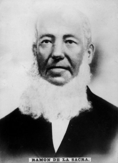 ラモンデラサクラ、1798〜1871年、1920年代 作： Unbekannt