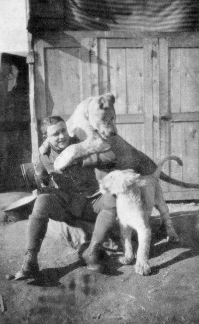 1917年の第一次世界大戦のフライングエース、フランス系アメリカ人の戦闘機パイロット、ラウルルベリー 作： Unbekannt