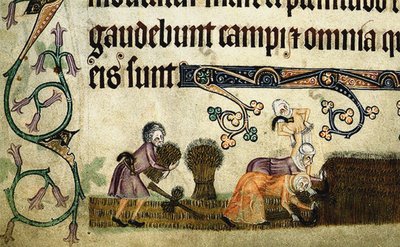 Luttrell Psalterからのシーブの刈り取りとバインド1330年頃 作： Unbekannt