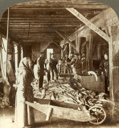 船から魚を受け取り、輸出用に梱包-魚の倉庫、オーレスン、ノルウェー、c1905。 作： Unbekannt