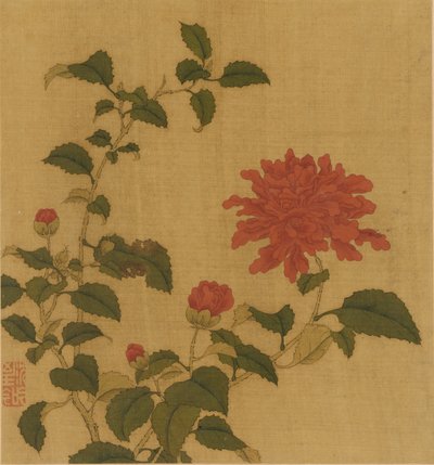 赤牡丹、清王朝、18 世紀。 作： Unbekannt