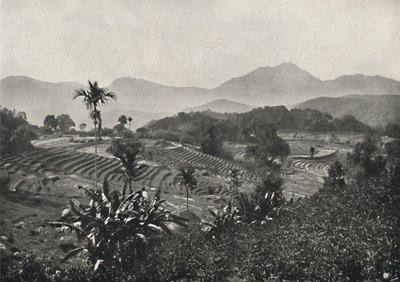 1926年に係留されたテラセンのトラベルフィールド 作： Unbekannt