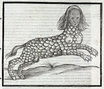 「エドワード・トプセルが1607年に発表した「四足の獣の歴史」のタイヤ付きグラヴュール。 作： Unbekannt