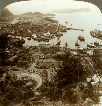 焼けた街の修復-島の港であるオーレスン、重要なタラ魚の市場、ノルウェー、c1905。 作： Unbekannt