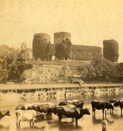 Rhuddlan-川からの城、c1900。 作： Unbekannt