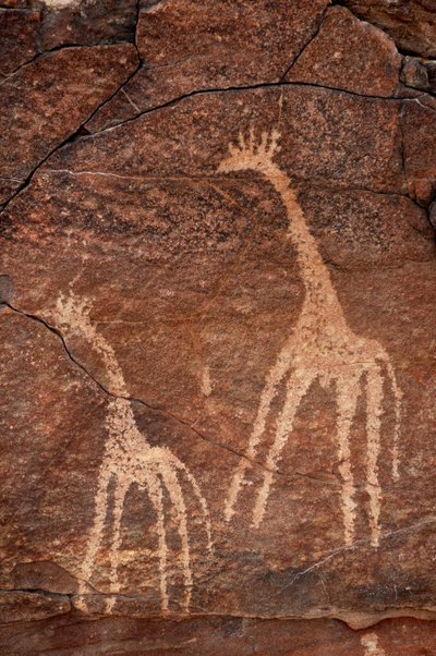 ロックアート、先史時代。エジプト、ウワイナット山塊のキリンの彫刻の詳細。(紀元前8000年から3000年の時代）。)写真 作： Unbekannt