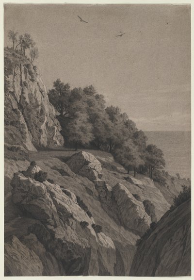 海岸の岩の崖、c。 1850-1860。 作： Unbekannt