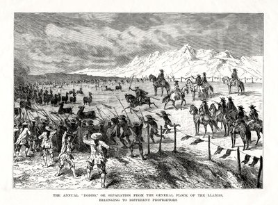 ロデオ、南アメリカ、1877 作： Unbekannt