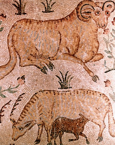 ラム、牛、子牛のローマ時代のモザイク、紀元4世紀 作： Unbekannt