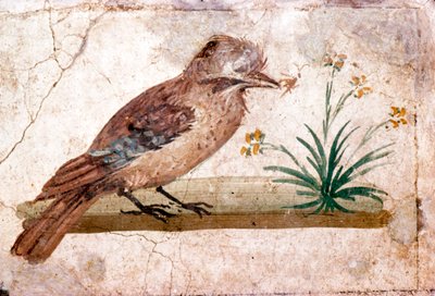 ポンペイ近くのボスコレアーレのジェイのローマ時代の壁画、1世紀 作： Unbekannt