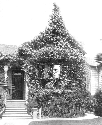 ローズコテージ、サウススプリングストリート、ロサンゼルス、カリフォルニア、米国、c1900。 作： Unbekannt