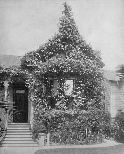 ローズコテージ、サウススプリングストリート、ロサンゼルス、カリフォルニア、c1897。 作： Unbekannt