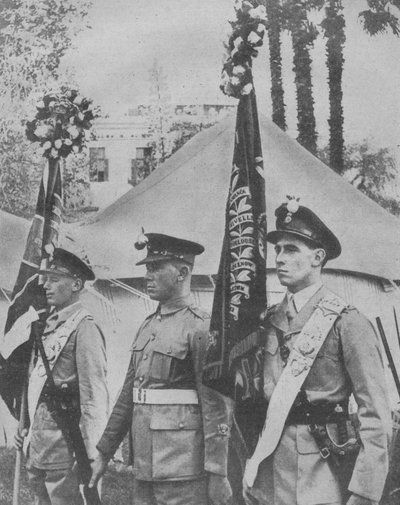 古いものと大胆なバラ、1942年。 作： Unbekannt