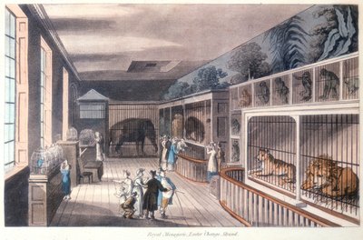 Royal Menagerie、エクセターチェンジ、ストランド、ロンドン、c1820 作： Unbekannt