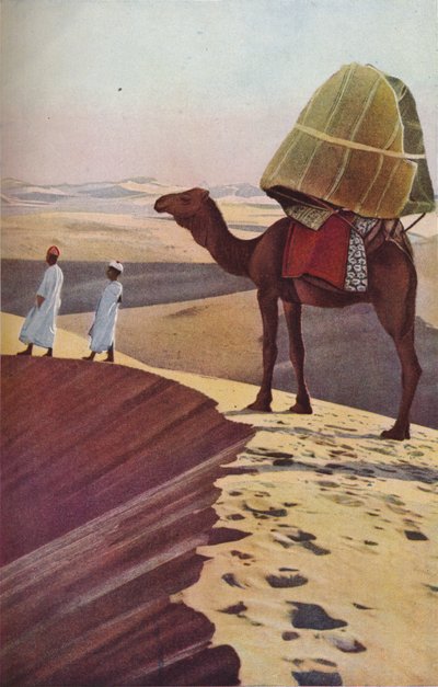 サハラ、c1930s 作： Unbekannt