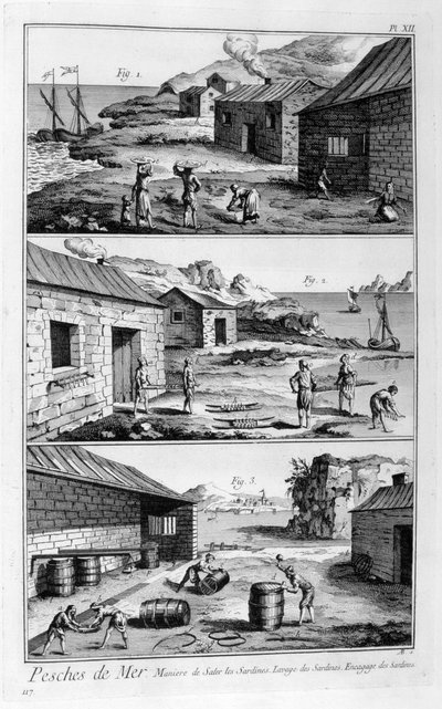 イワシの塩漬け、洗浄、梱包、1751-1777 作： Unbekannt