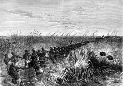 サミュエルベーカーズボート、1864年1874年 作： Unbekannt