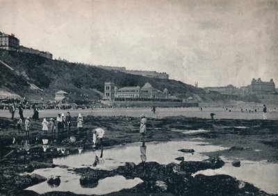 スカボロー-岩からの眺め、1895 作： Unbekannt