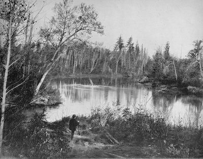 ウィスコンシン州ペシティーゴ川のシーン、c1897。 作： Unbekannt