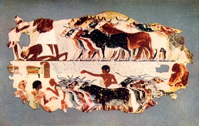 「エジプトの農場で牛の大群を運転するシーン」、紀元前 1350 年頃、1915 年。 作： Unbekannt