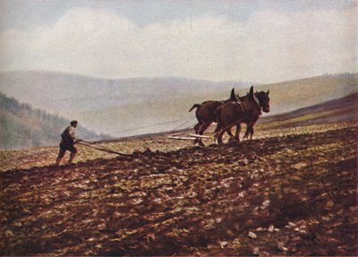 スコットランド、c1930s 作： Unbekannt