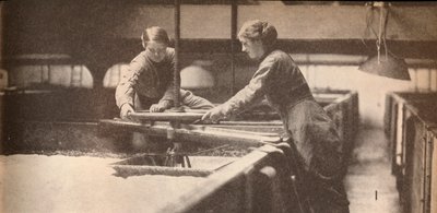 バートンオントレント醸造所で酵母をねじ込む、c1916、1935 作： Unbekannt
