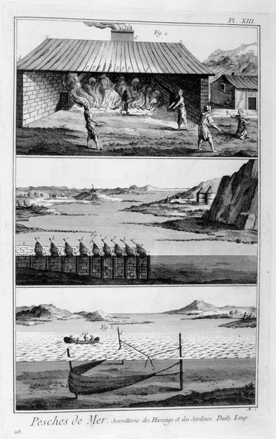 海釣り、ニシン、イワシ、1751-1777 作： Unbekannt