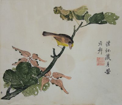 Seeds and Aleurites Cordata : マスタード シード ガーデン マニュアルのページ、1782 年、第 2 版。 作： Unbekannt