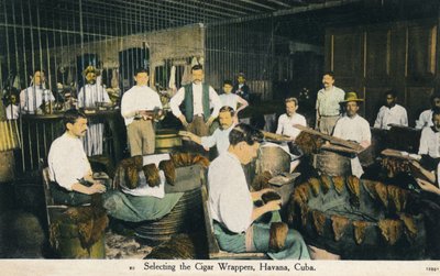 シガーラッパーの選択、ハバナ、キューバ、c1910 作： Unbekannt