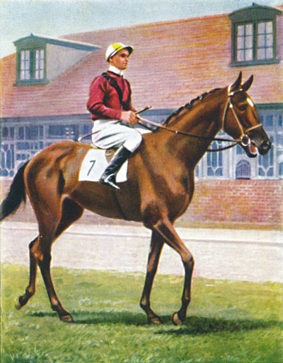 セニョール、ジョッキー：J.クラウチ、1939 作： Unbekannt