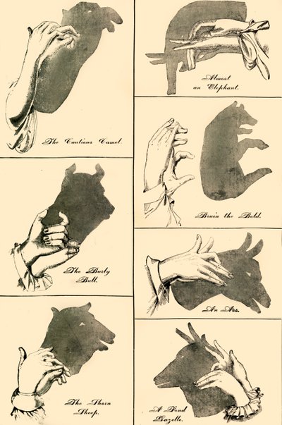 影の写真とシルエット、1883年。 作： Unbekannt